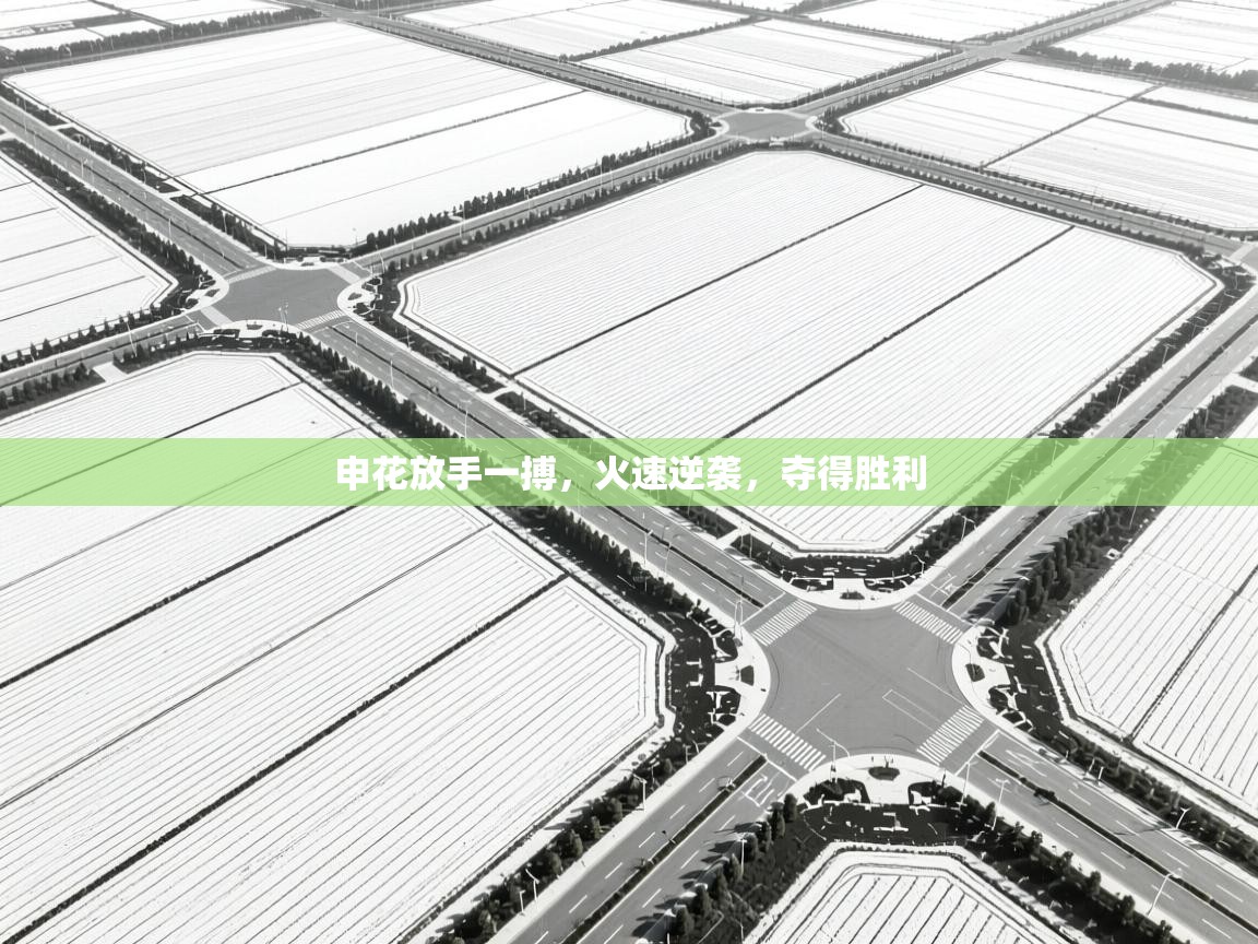 申花放手一搏,火速逆袭,夺得胜利 第1张