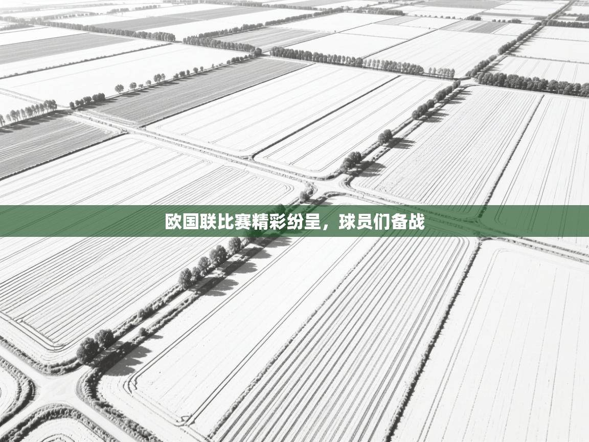 欧国联比赛精彩纷呈,球员们备战 第2张