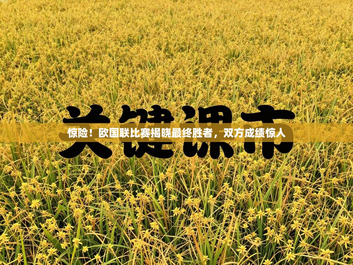 惊险!欧国联比赛揭晓最终胜者,双方成绩惊人 第2张