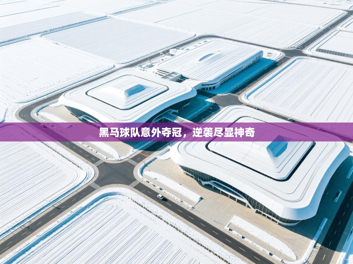 黑马球队意外夺冠，逆袭尽显神奇  第1张