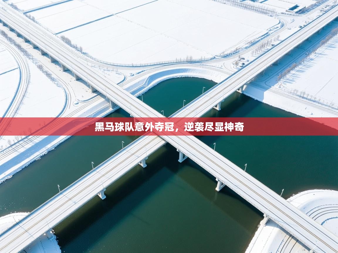 黑马球队意外夺冠，逆袭尽显神奇  第2张