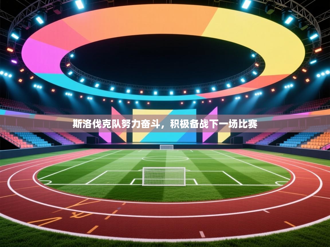 斯洛伐克队努力奋斗，积极备战下一场比赛  第2张