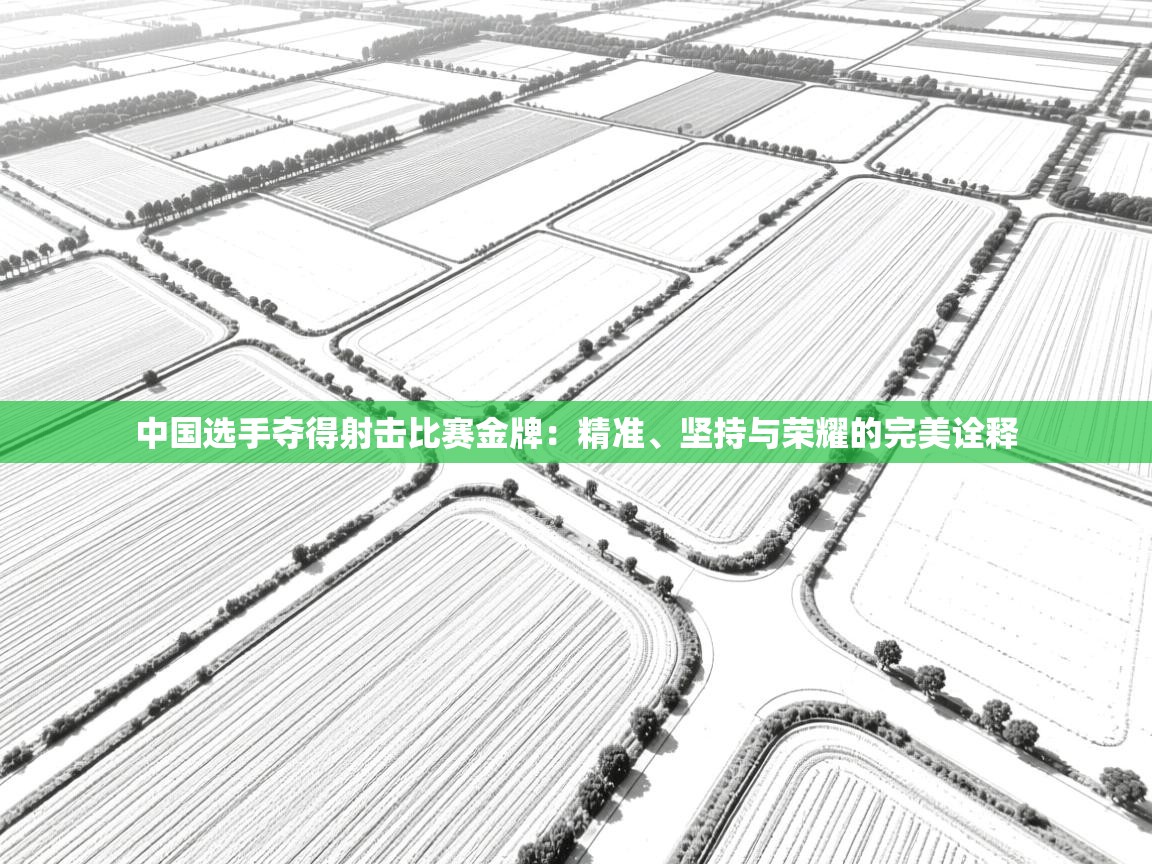 中国选手夺得射击比赛金牌：精准、坚持与荣耀的完美诠释