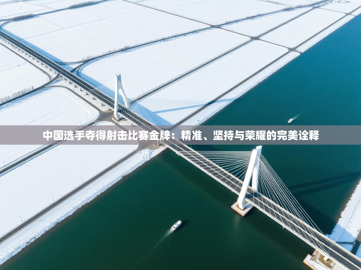 中国选手夺得射击比赛金牌：精准、坚持与荣耀的完美诠释  第2张