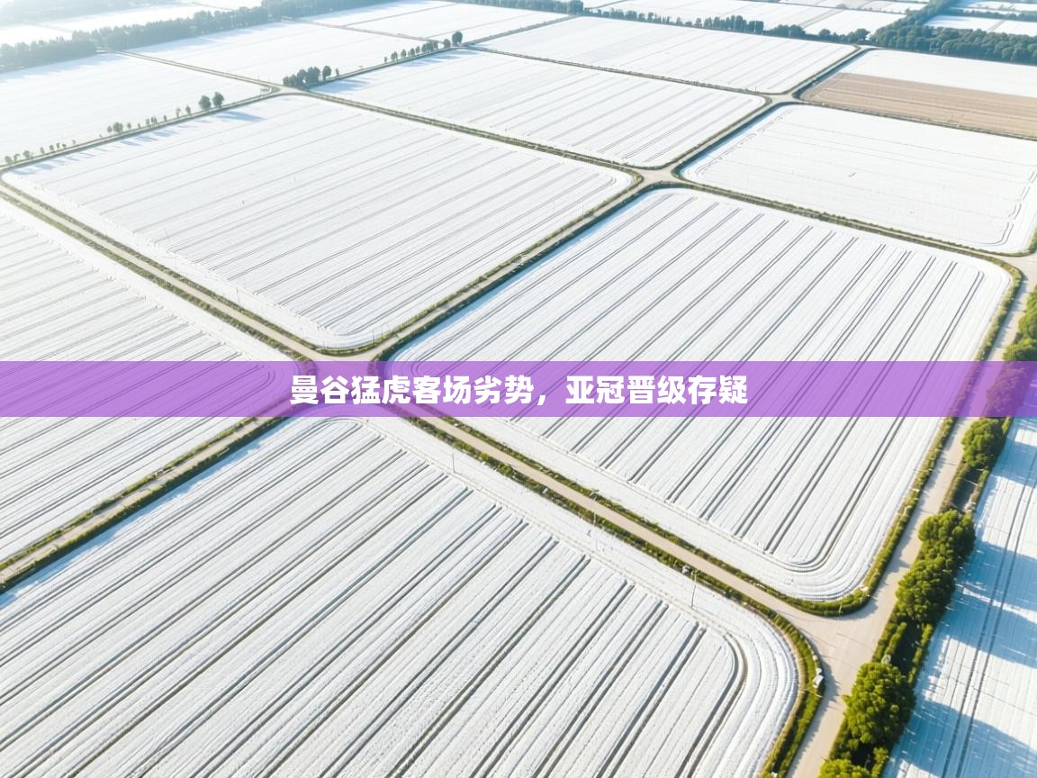 曼谷猛虎客场劣势，亚冠晋级存疑  第1张