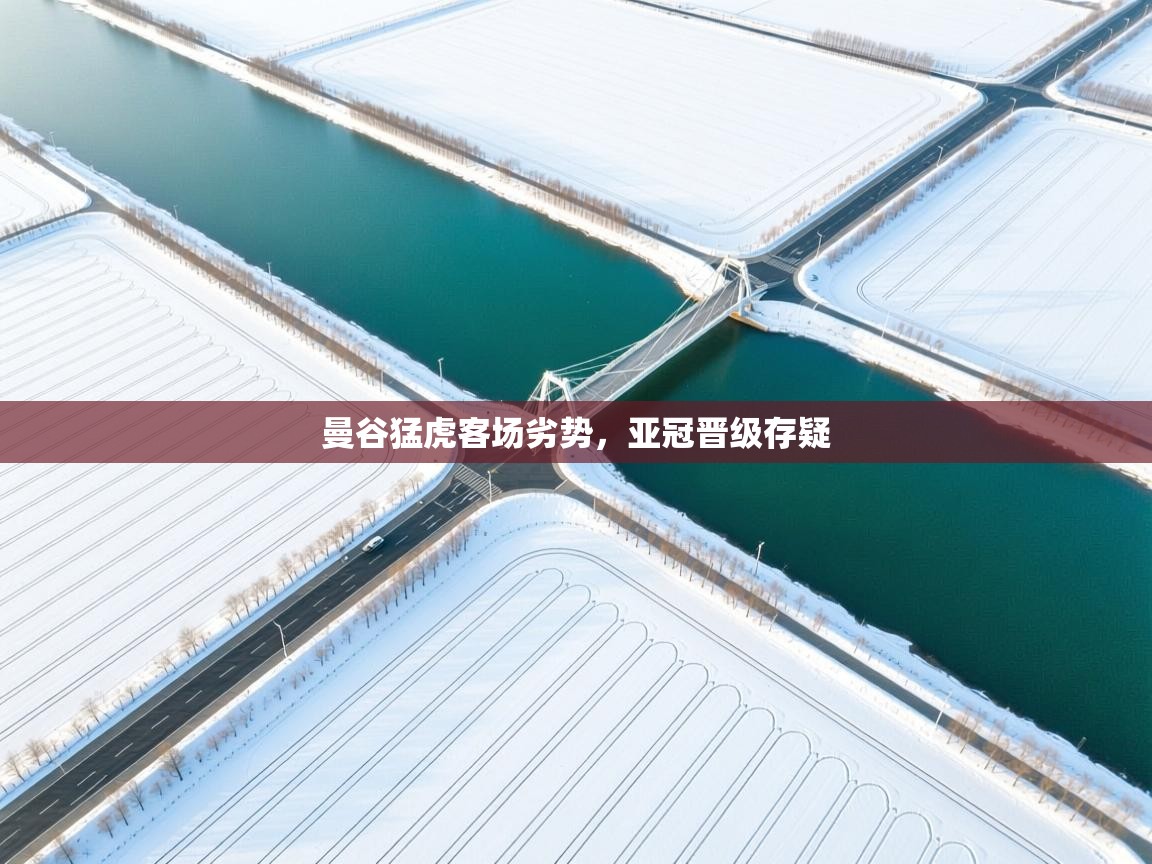 曼谷猛虎客场劣势，亚冠晋级存疑  第2张